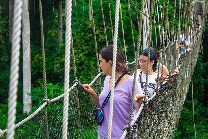Pasarela del Parque Nacional Kakum