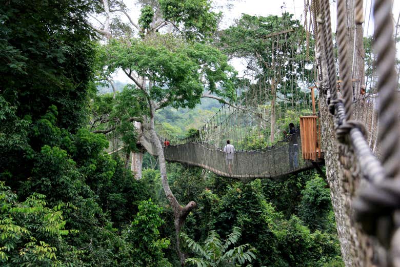 Puente colgante del Parque Nacional de Kakum