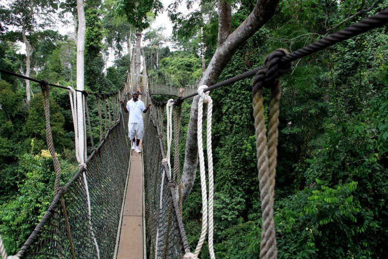 Strolling across the Kakum Suspension Bridge