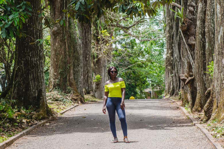 Paseando entre la arboleda del Jardín Botánico de Aburi, Ghana