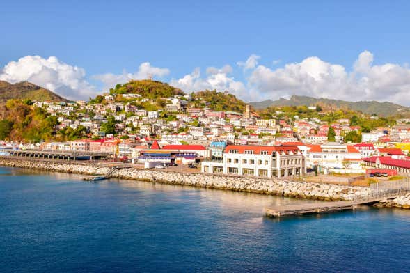 Tour por Saint George + Parque Nacional Grand Etang e Annandale Falls