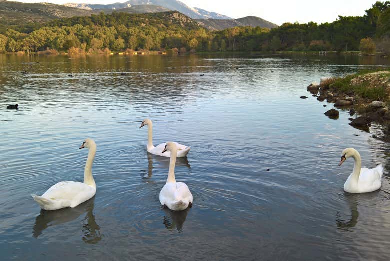 Un paysage magnifique vous attend