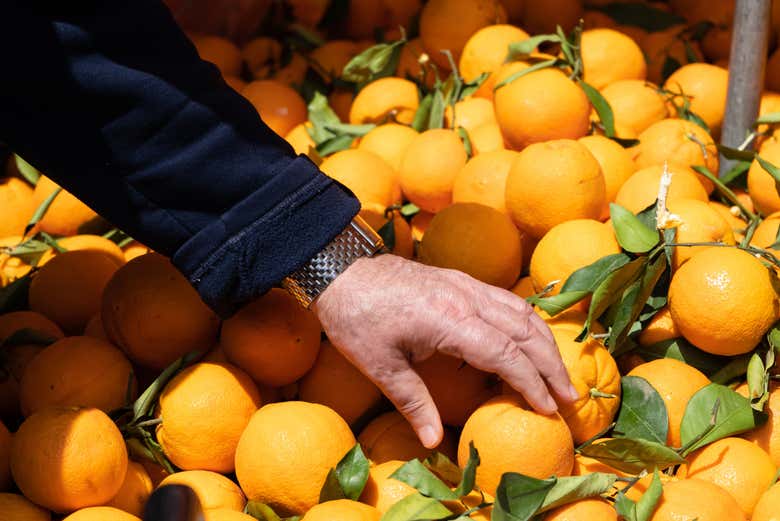 Una bancarella della frutta ad Atene