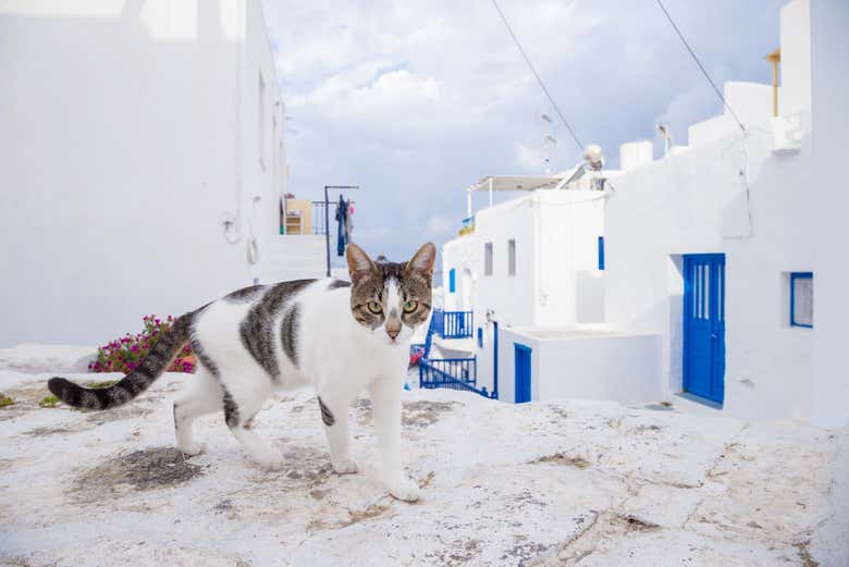 Conhecendo Mykonos