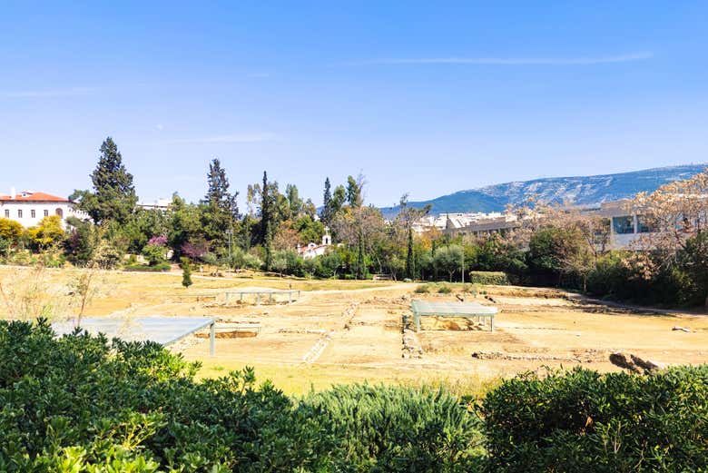 See beautiful views!