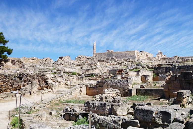 Visitaremos un yacimiento arqueológico en Egina