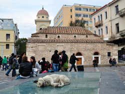 Dog in Monastiraki