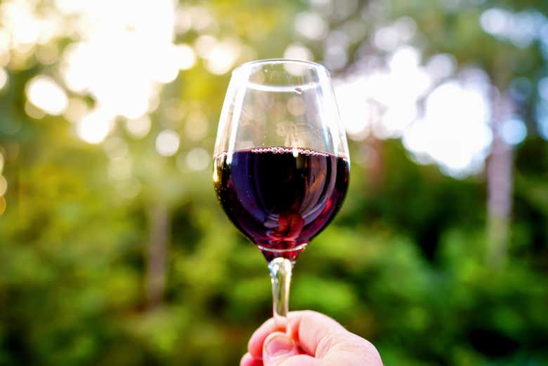 Proverete il vino locale