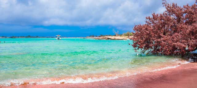 Excursion à la plage d'Elafonisi