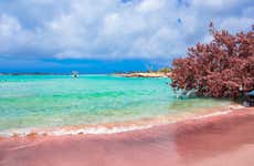Escursione alla spiaggia di Elafonisi