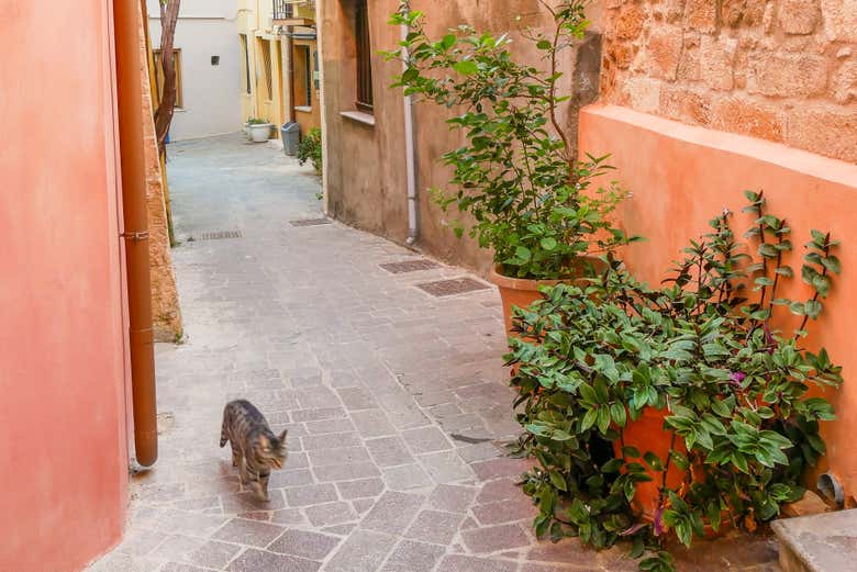 Típica callejuela en Canea