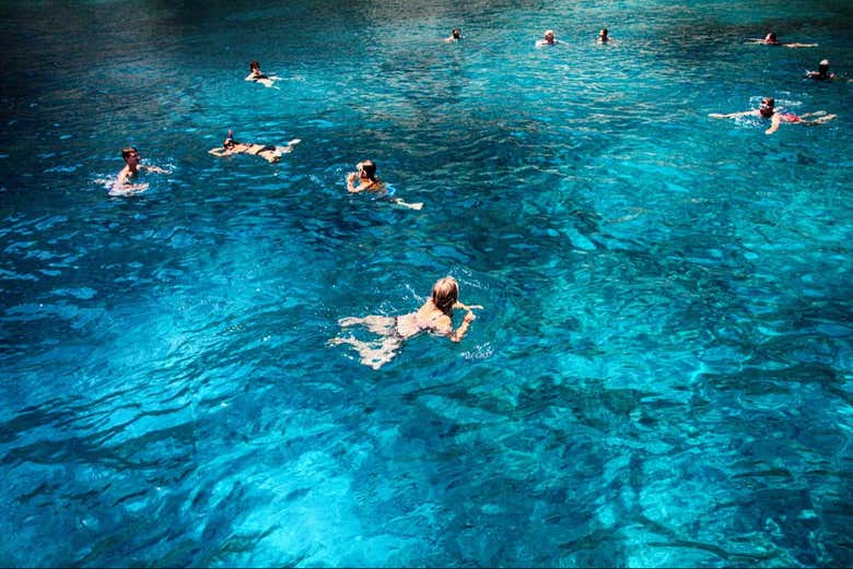 ¡Será un tour de snorkel de lo más especial!