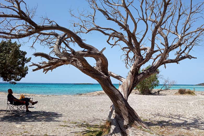 Será una excursión inolvidable