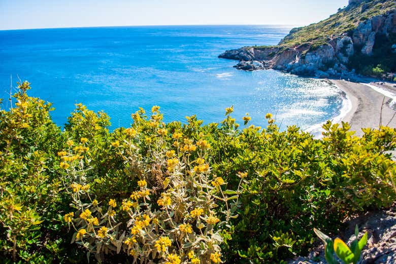 Excursion à la plage de Preveli