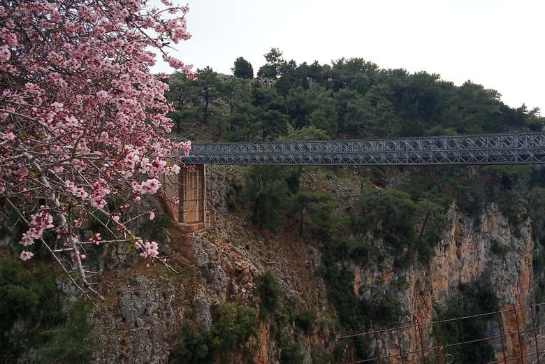 Puente de Arádena