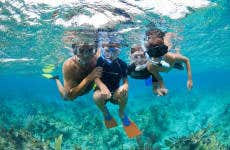 Paseo en barco, snorkel y paddle surf en Canea