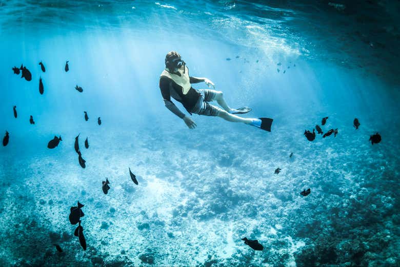 Exploration des fonds marins de la Chalcidique