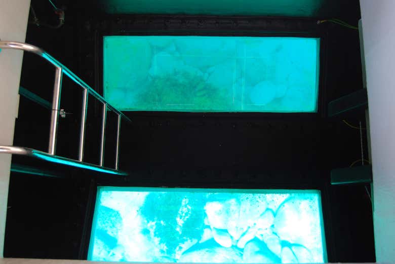 El barco tiene fondo de cristal