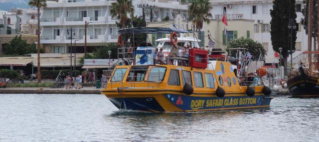 Dory's Glass-Bottom Boat Adventure