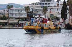 Dory's Glass-Bottom Boat Adventure