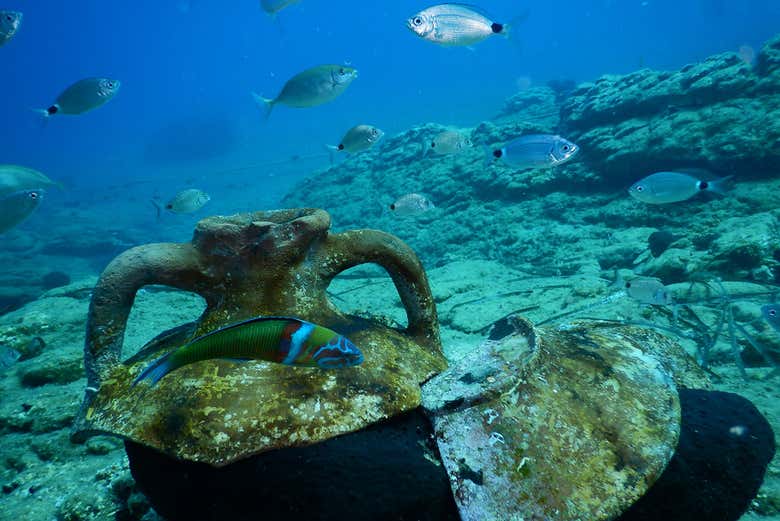 Admirez les fonds marins du nord de la Crète