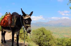 Cretan Culture Tour