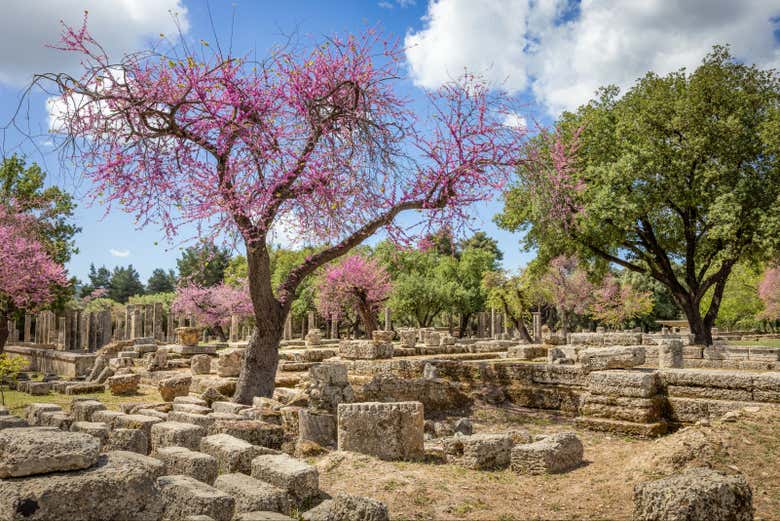 Dive into ancient Greece's fascinating history