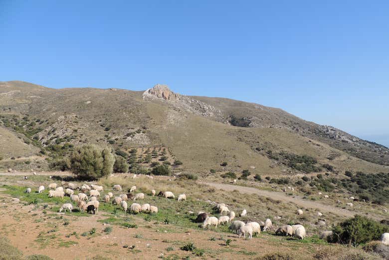Parcourir le sud de la Crète