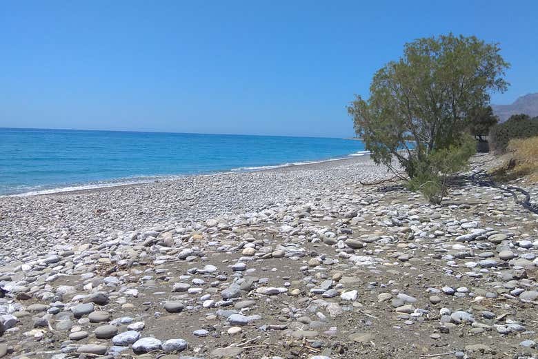 Plage Skouros