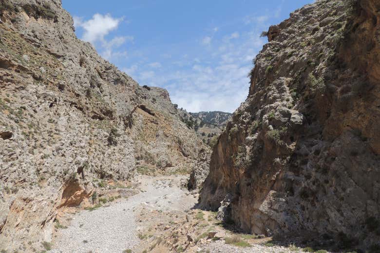 Exploring the plateau