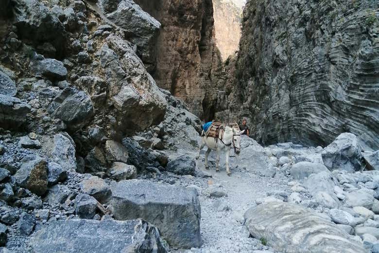 Exploring Samaria Gorge