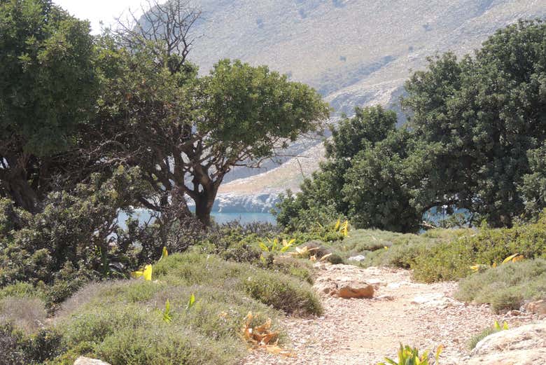 View of Southeast Crete