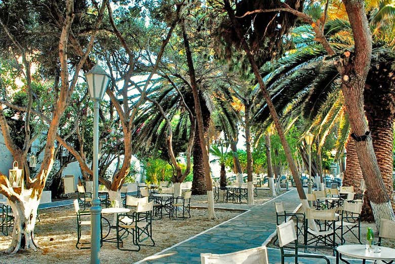 Jardín botánico en la ciudad de Mykonos