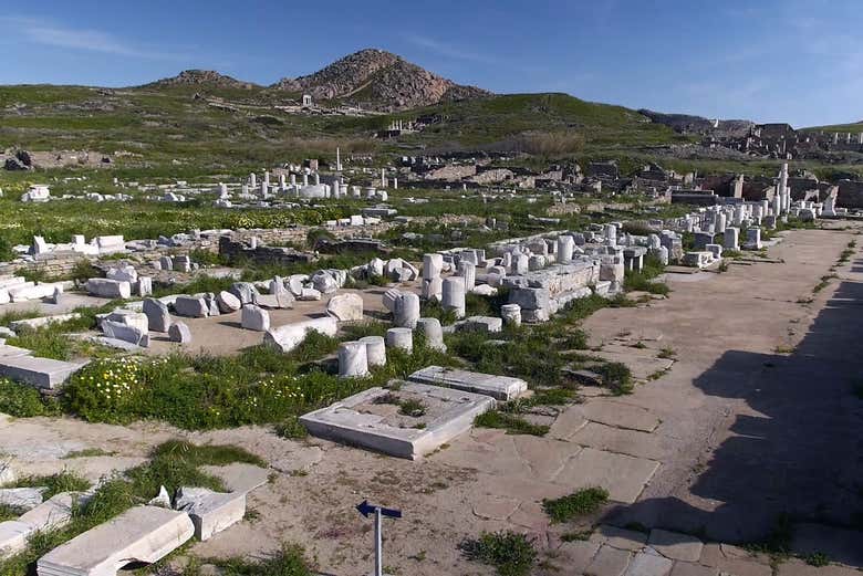 Delos Day Trip