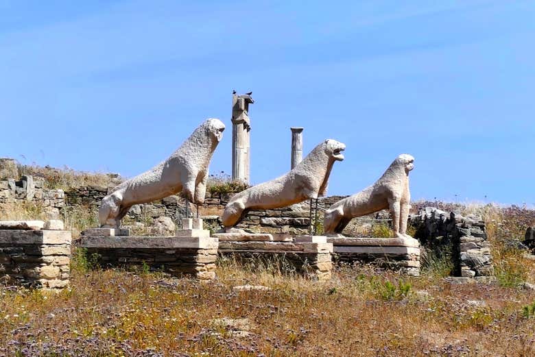 Terraza de los Leones