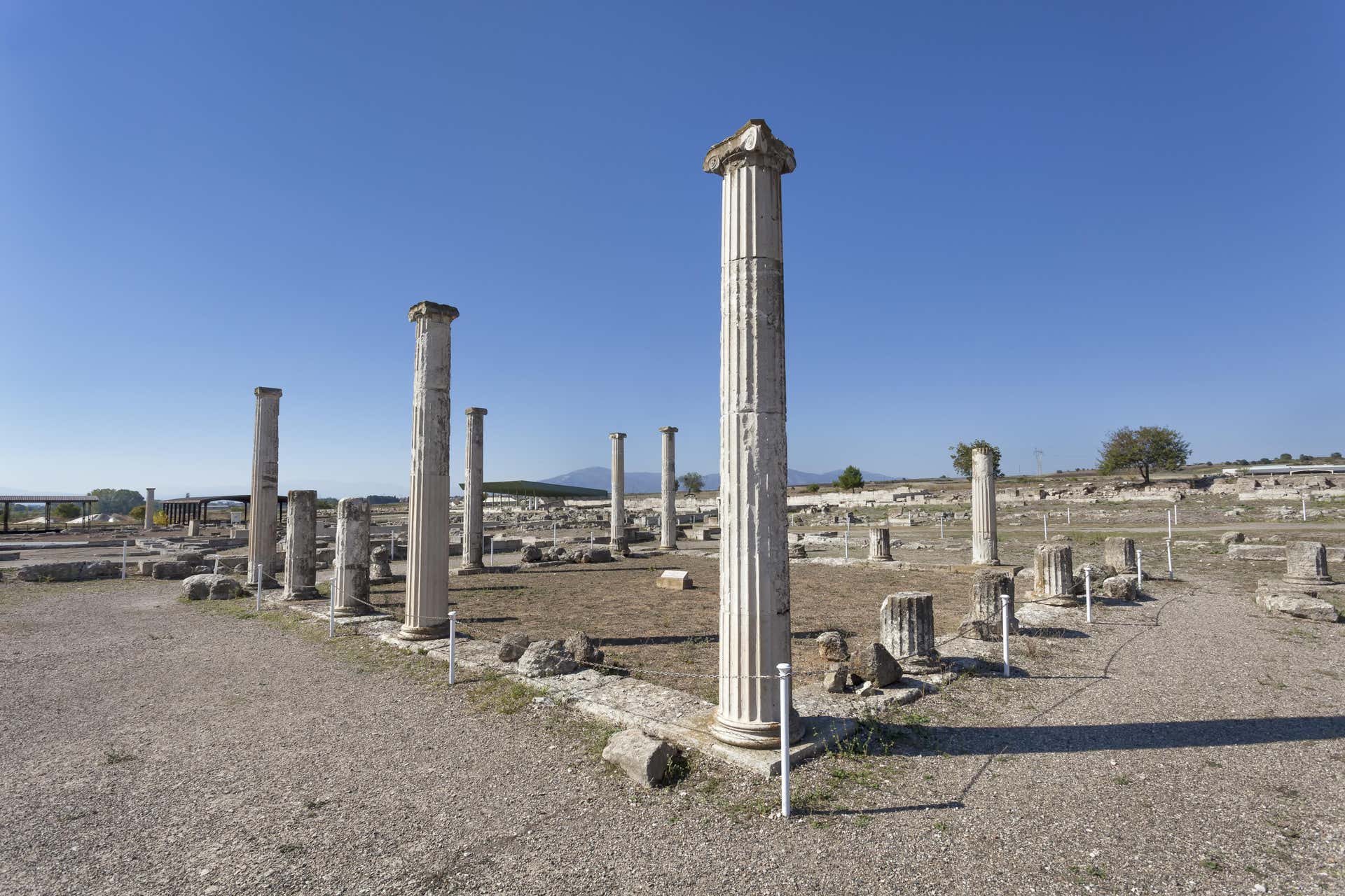 Excursión a Pella y Vergina