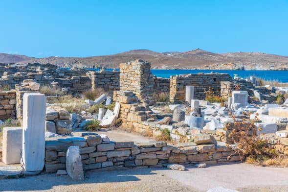 Excursión a Delos y Mykonos