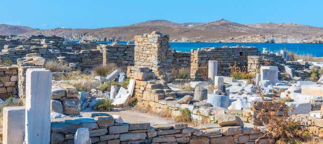 Excursión a Delos y Mykonos