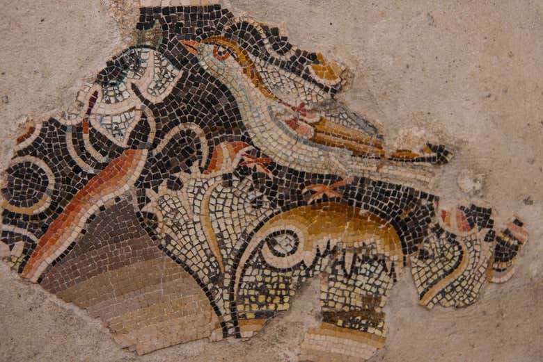 Mosaics in Delos museum date back to the 2nd and 1st centuries