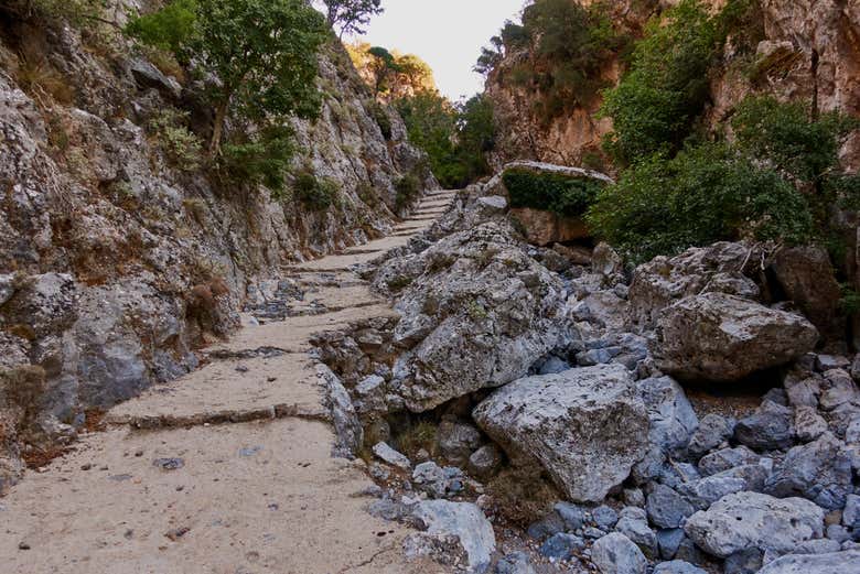 Trail in Kallikratis Gorge