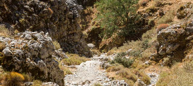 Hiking in Imbros Gorge