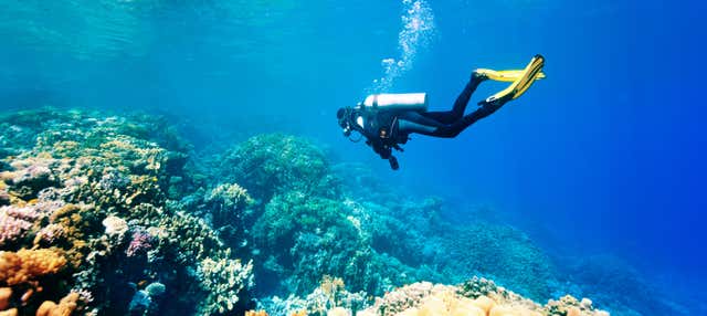 Plongée à Kallithea