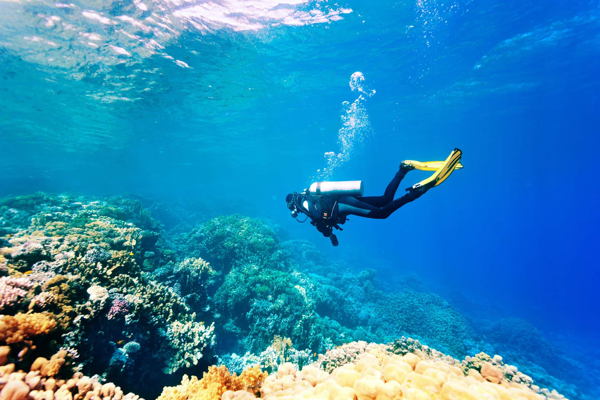 Rhodes Scuba Diving
