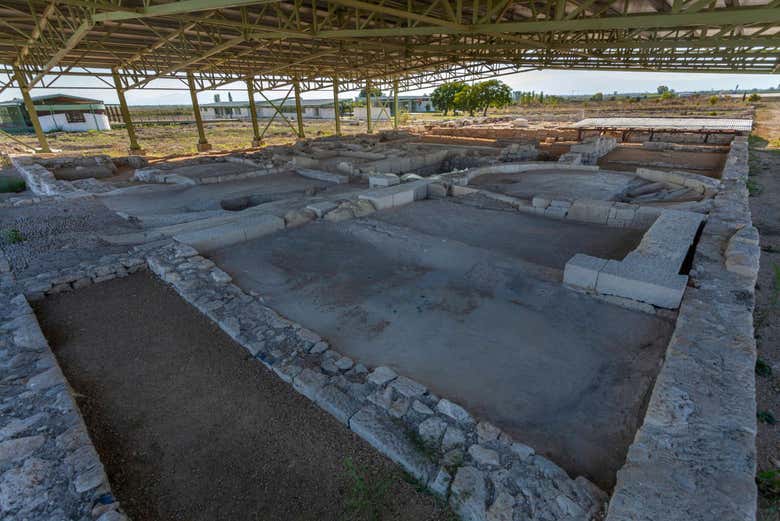 Les mosaïques de Pella