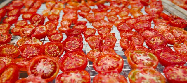 Billet pour le musée de la Tomate avec audioguide