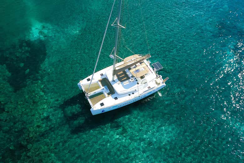 Overhead view of the catamaran