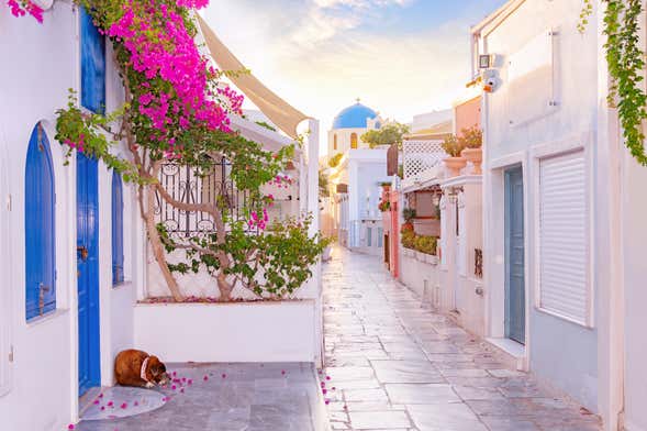 Visita guiada por Santorini