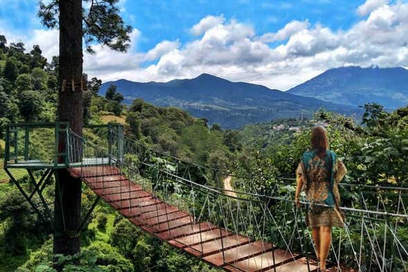 Paseo de las Nubes Farm Excursion