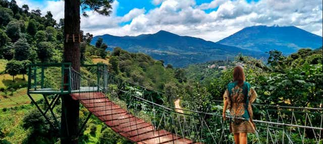 Paseo de las Nubes Farm Excursion