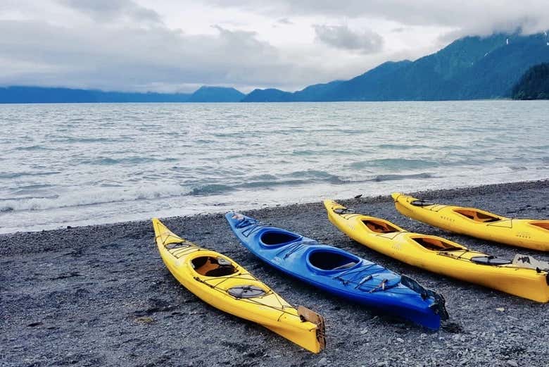 The kayaks ready to go
